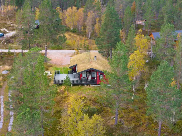 Løyningsåne hyttegrend 15, Bykle